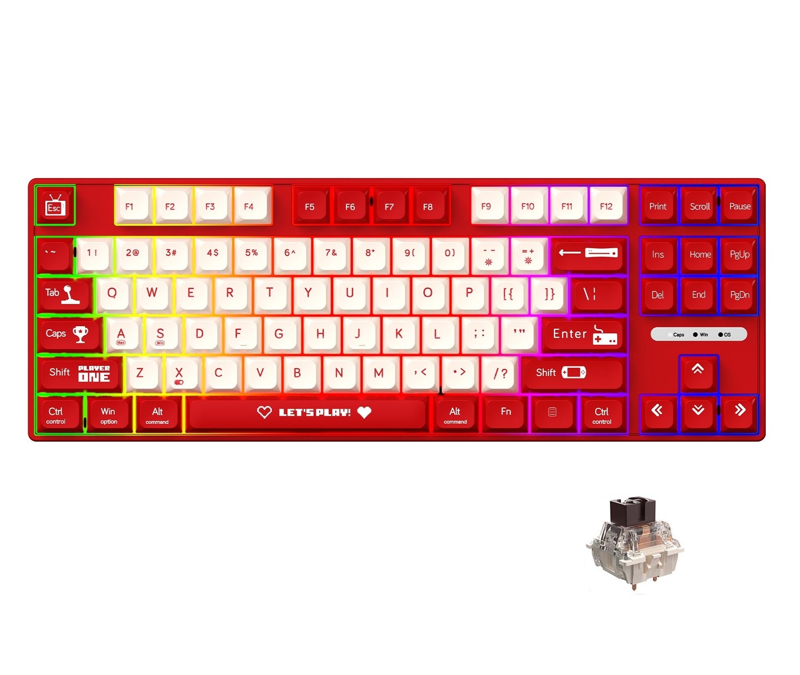 AK870MC Kablolu- Hot Swap Mekanik Klavye- Rainbow Aydınlatmalı