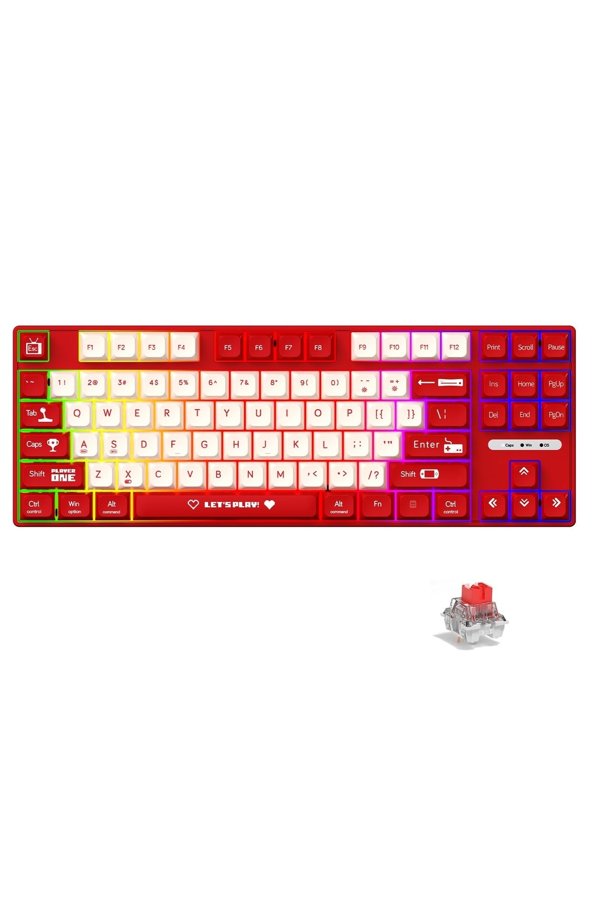 AK870MC Kablolu- Hot Swap Mekanik Klavye- Rainbow Aydınlatmalı