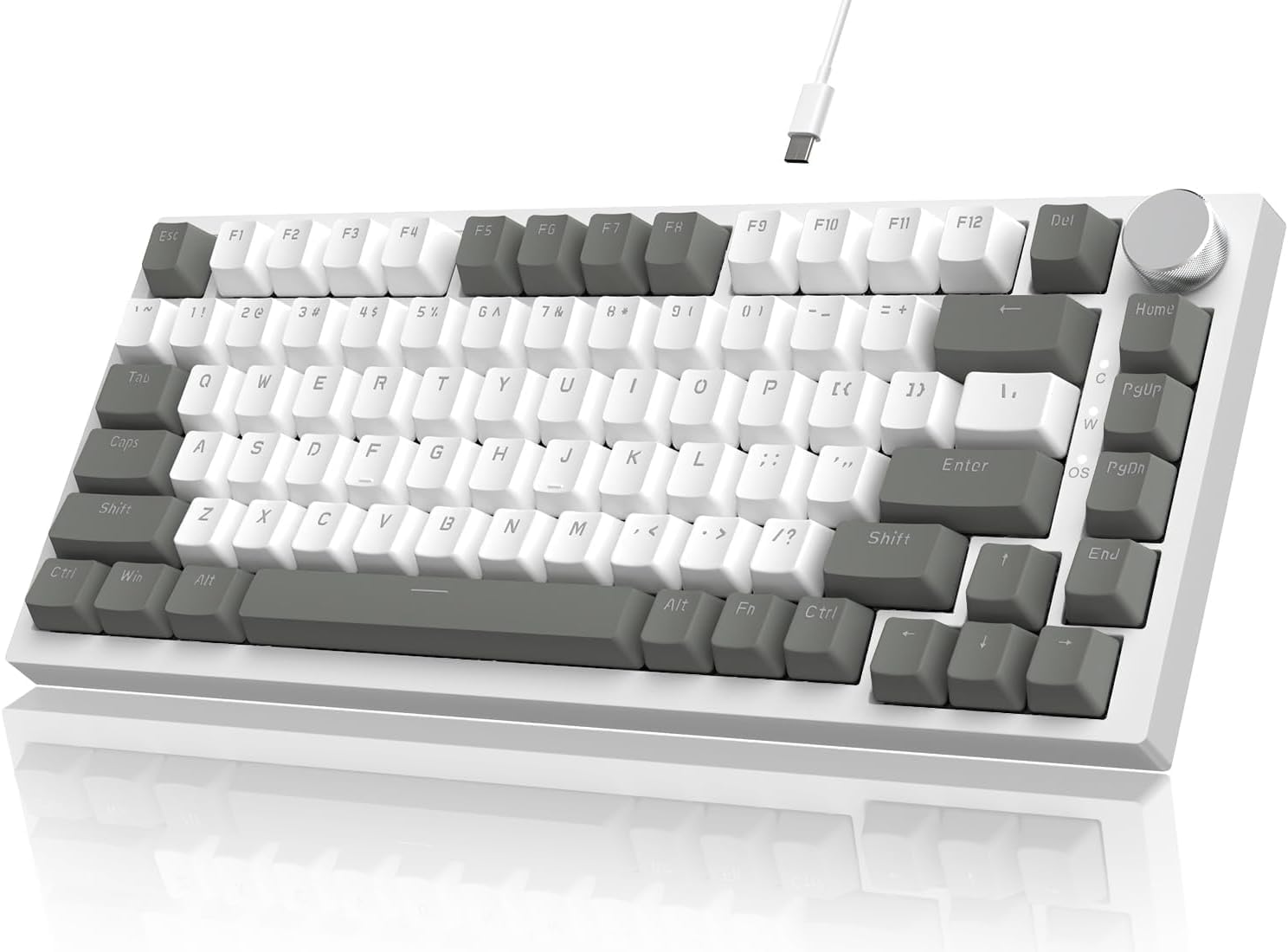 AK820 Kablolu Mekanik Oyun Klavyesi , Beyaz Işıklı, Beyaz-Gri, 82 Tuş, Hot Swap, Anti Ghosting