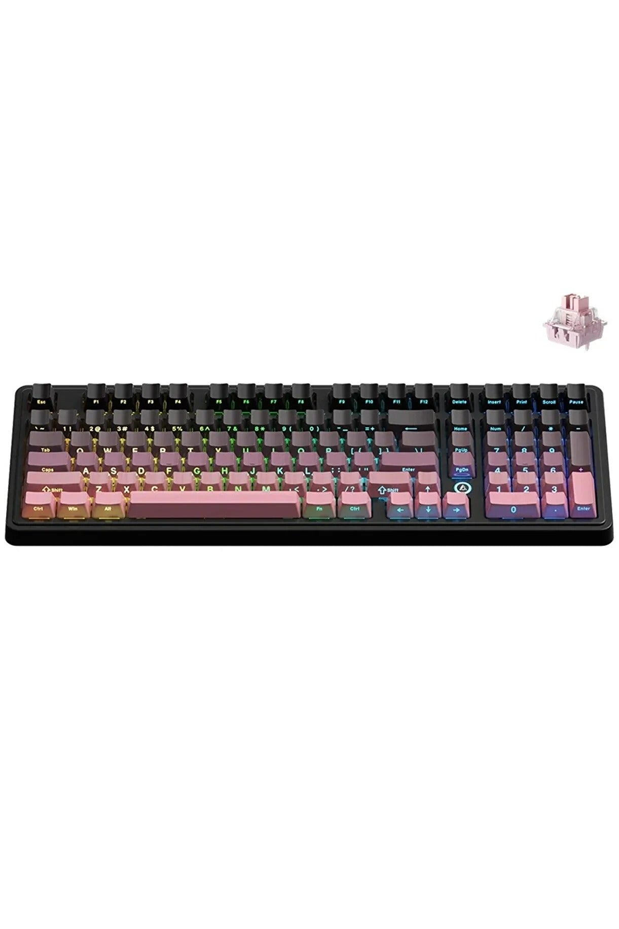 kiki291708オーダーページ LCWAIKIKI Basic Kırmızı Bisiklet Yaka Atatürk Temalı Kadın Tişört